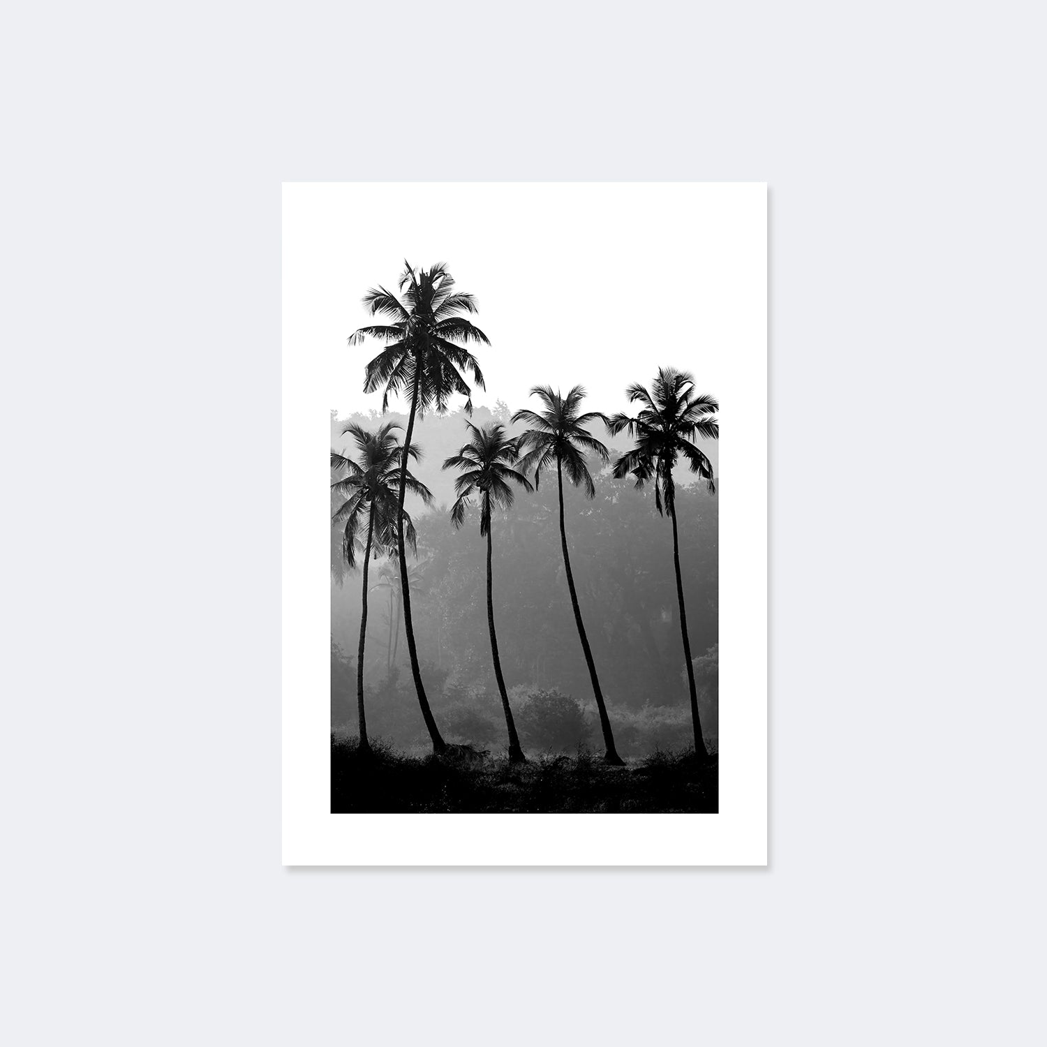 Palms Poster